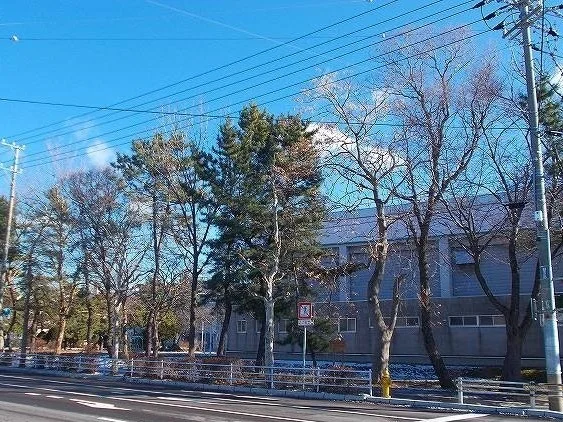 函館市立駒場小学校まで1300m