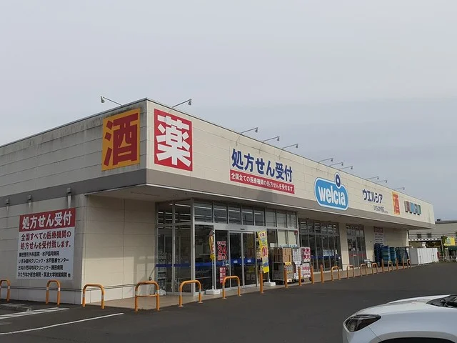 ウエルシア外野店まで300m