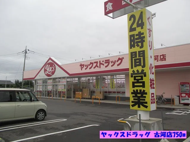 ヤックスドラック古河店まで750m
