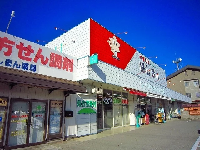 くすりのほしまんまで300m