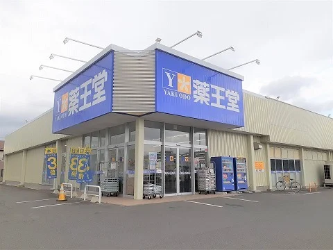 薬王堂北上黒沢尻店まで1000m