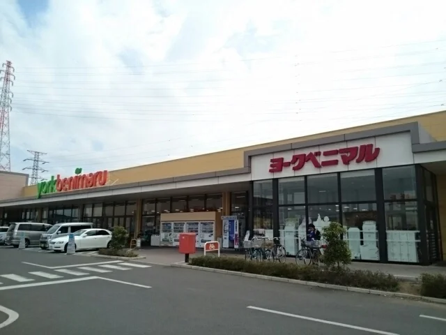 ヨークベニマル小山雨ヶ谷店まで1100m
