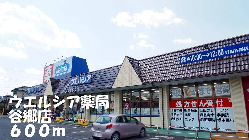ウエルシア谷郷店まで600m