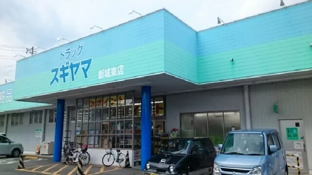 ドラッグスギヤマ新城東店まで110m