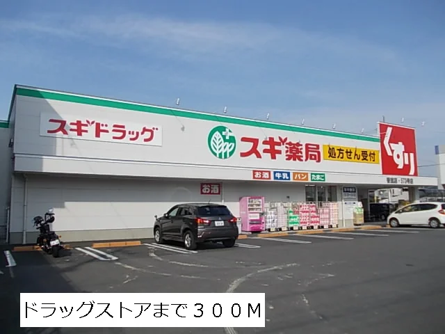 スギ薬局まで300m
