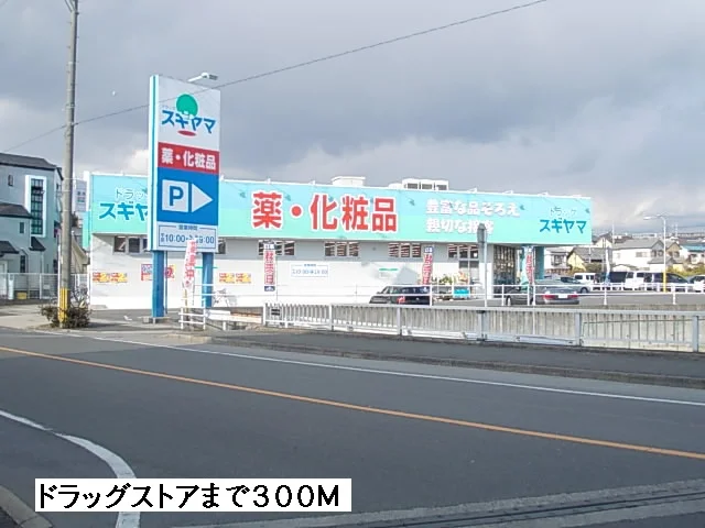 ドラッグスギヤマまで300m