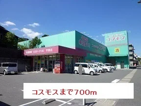 コスモスまで700m