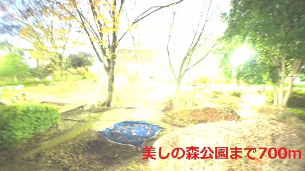 美しの森公園まで700m