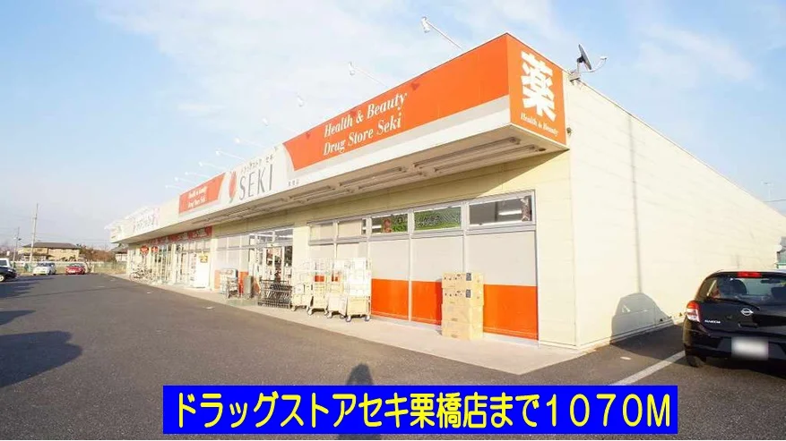 ドラッグストアセキ栗橋店まで1070m
