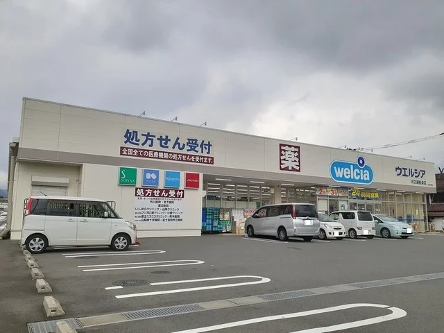 ウェルシア河口湖船津店まで1000m