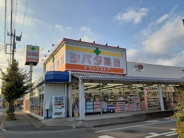 シバタ薬品住吉店まで650m
