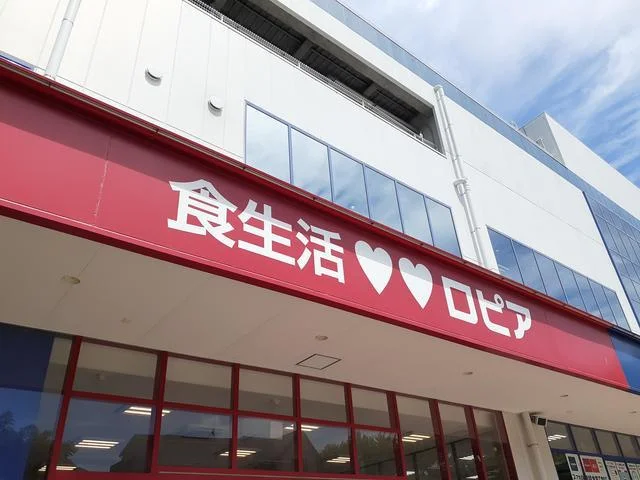 ロピア川崎水沢店まで500m