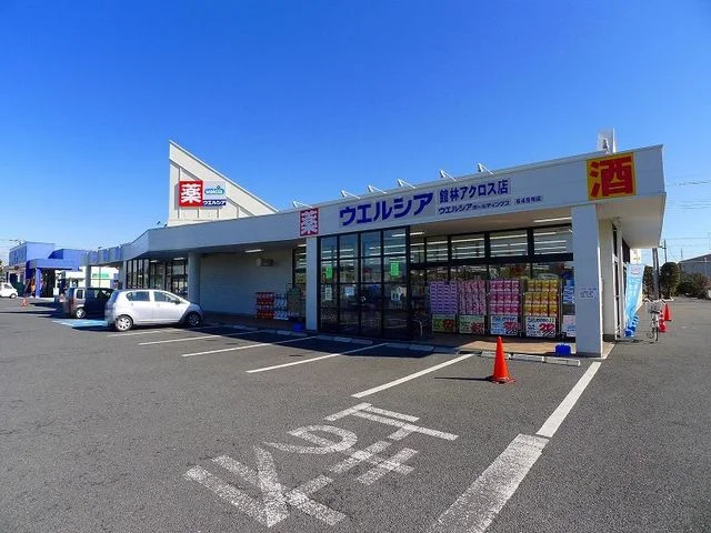 ウエルシア館林アクロス店まで400m