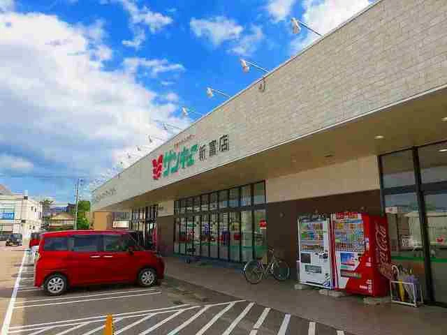 サンキュー新富店まで900m