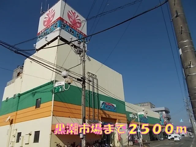 黒潮市場まで2500m