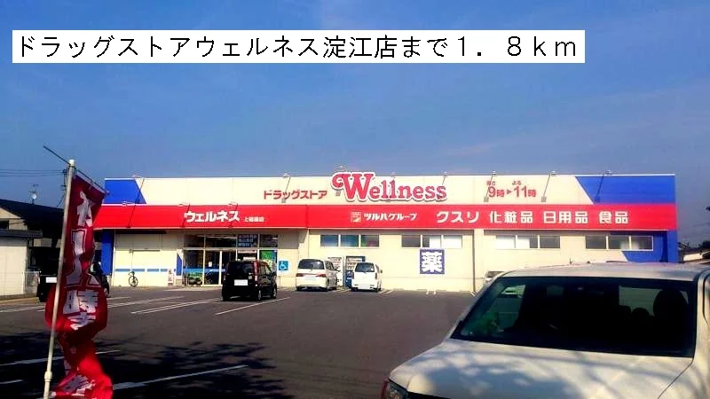 ドラッグストアウェルネスまで1800m