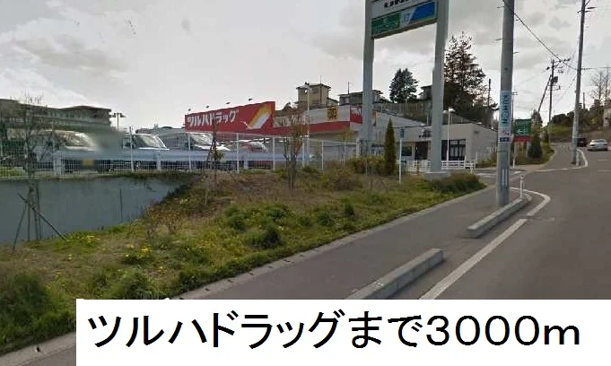 ツルハドラッグ塩釜栄町店まで3000m