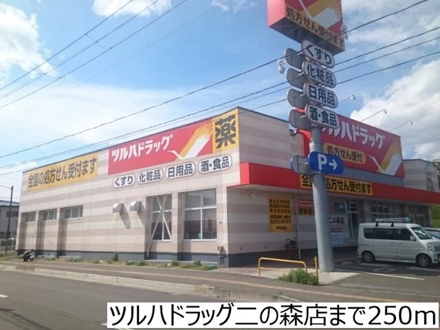 ツルハドラッグ二の森店まで250m