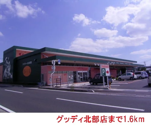 グッディー北部店まで1600m