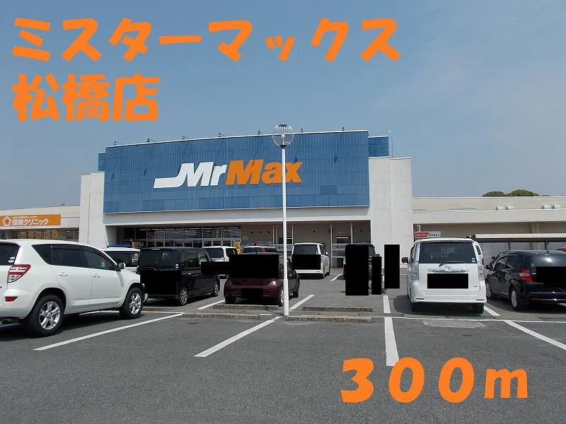 ミスターマックス松橋店まで300m