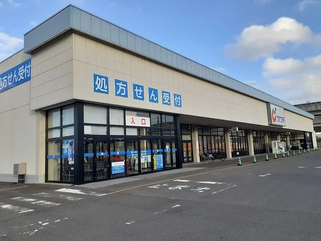 カワチ薬品岩切店まで1069m
