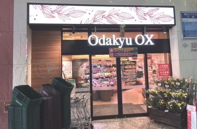 OdakyuOXまで700m
