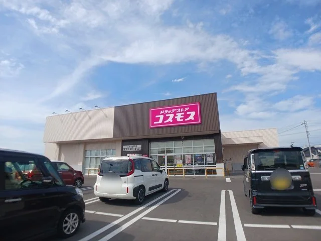 コスモス三木池戸店さんまで600m
