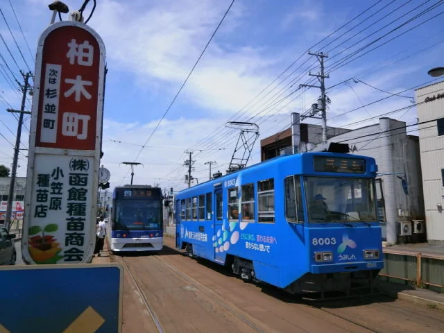 市電柏木町電停まで1100m