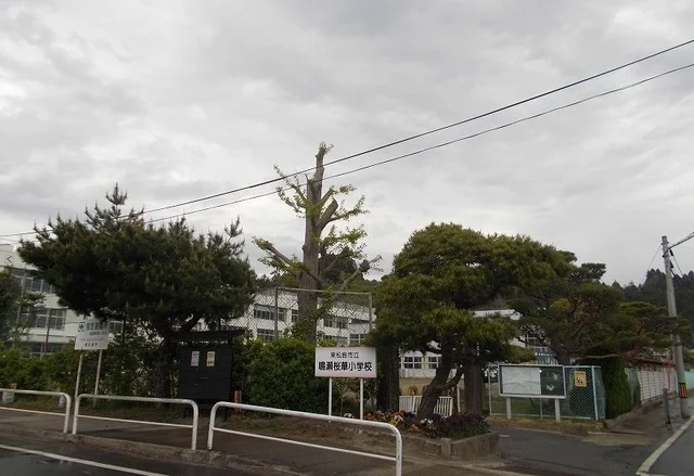 東松島市立鳴瀬桜華小学校まで800m
