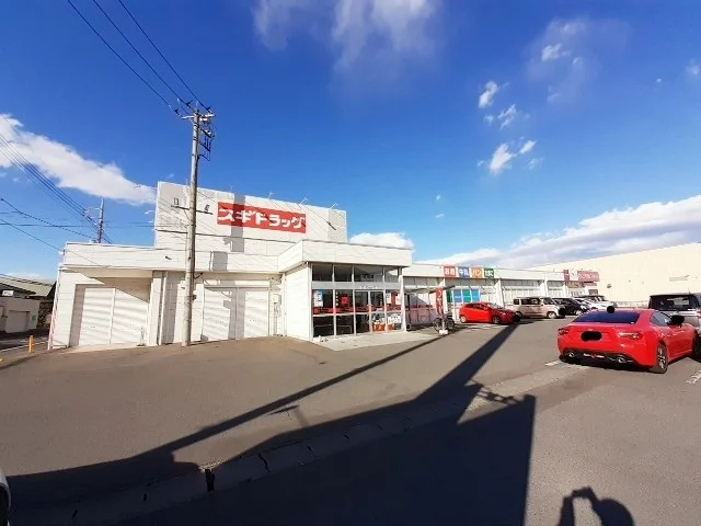 ドラッグスギ日吉店まで1100m