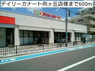デイリーカナート向ヶ丘店様まで600m