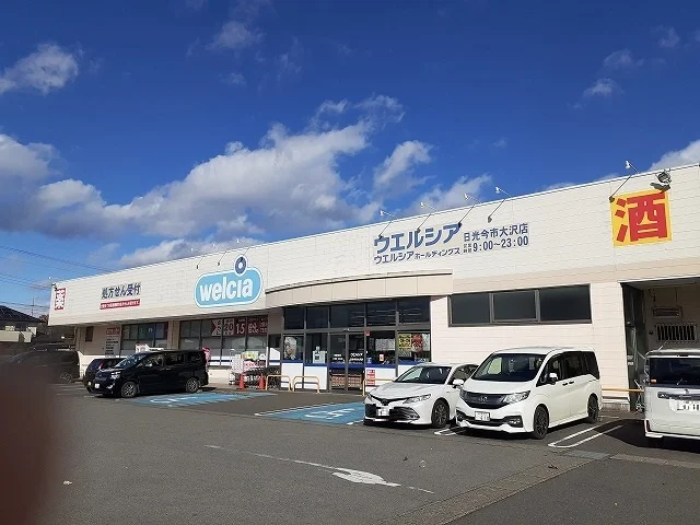 ウェルシア日光大沢店まで1100m