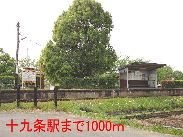 樽見鉄道　十九条駅まで1000m