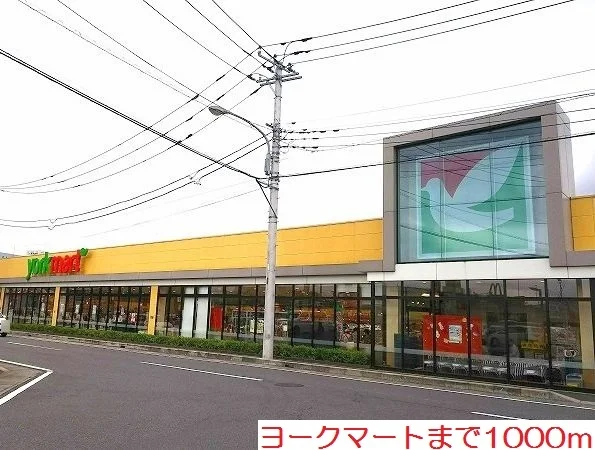 ヨークマートまで1000m