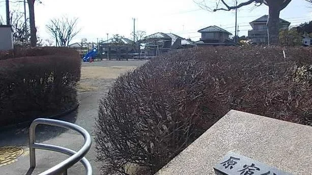 原宿公園まで150m