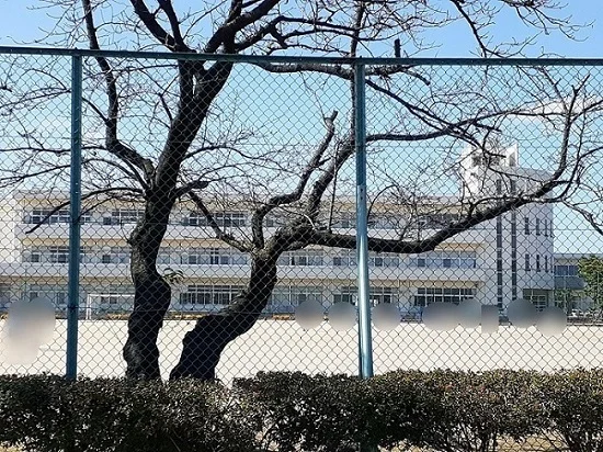 新発田市立御免町小学校まで450m