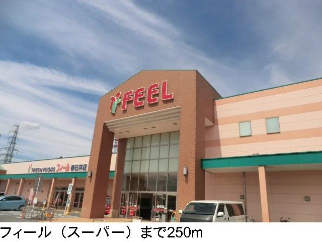 フィールまで250m
