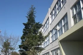 明園小学校まで81m