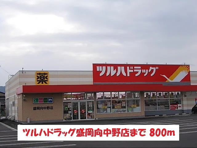 ツルハドラッグ盛岡向中野店まで800m