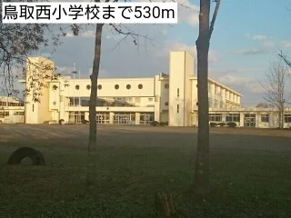 鳥取西小学校まで530m
