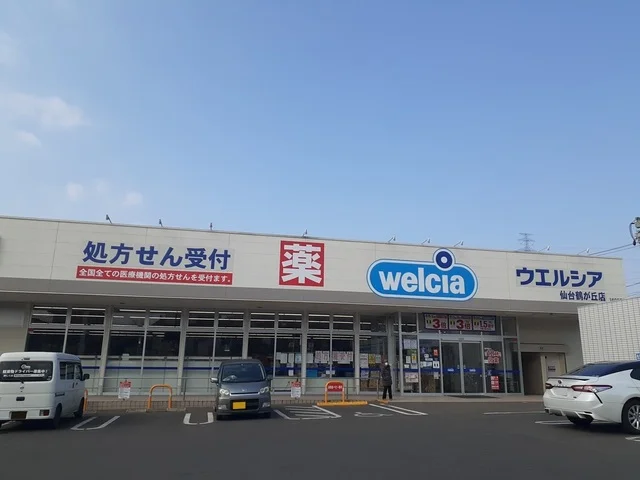 ウエルシア仙台鶴が丘店まで1000m