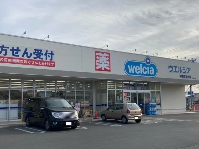 ウエルシア宇都宮駒生店まで600m