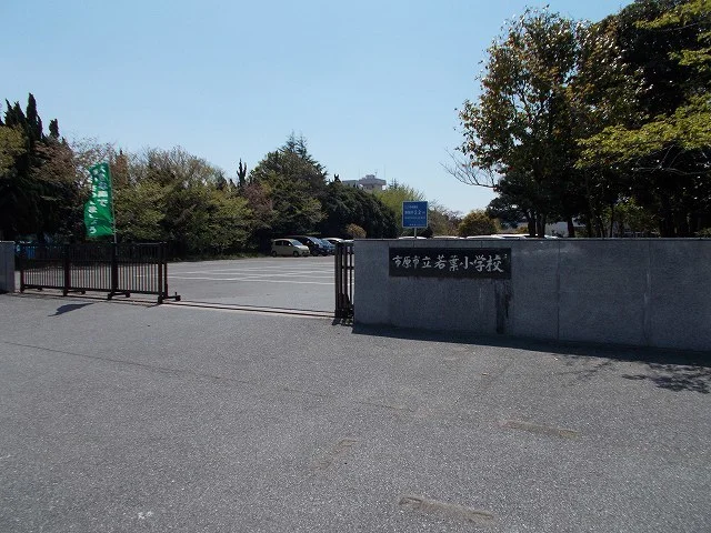 市原市立若葉小学校まで600m