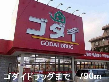 ゴダイドラッグまで790m