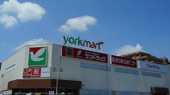 ヨークマート 入間店まで450m