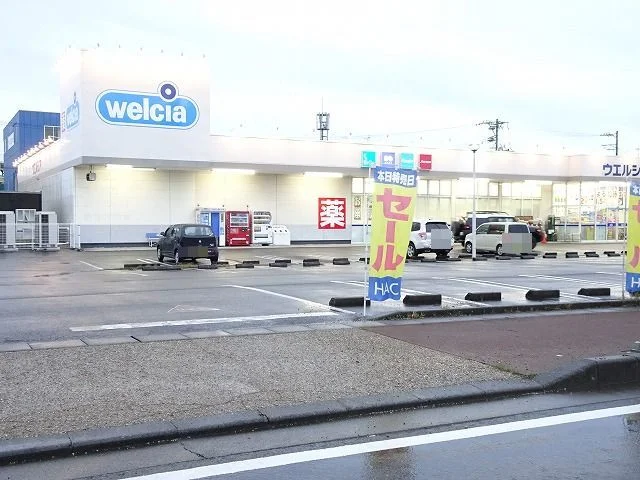 ウエルシア静岡下川原店まで800m
