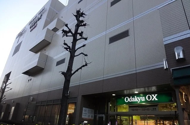 Odakyu OXまで500m