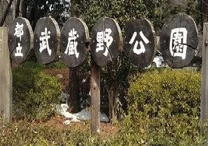 武蔵野公園まで300m