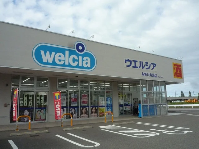 ウエルシア糸魚川寺島店まで800m