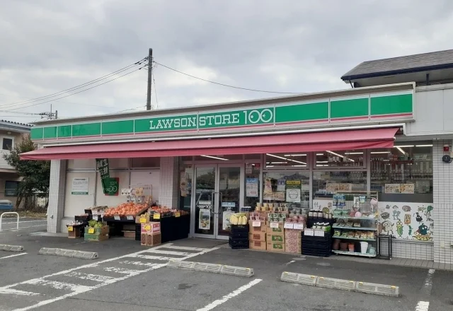 ローソンストア100まで1100m